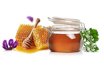 Milkvetch & Coriander Honey