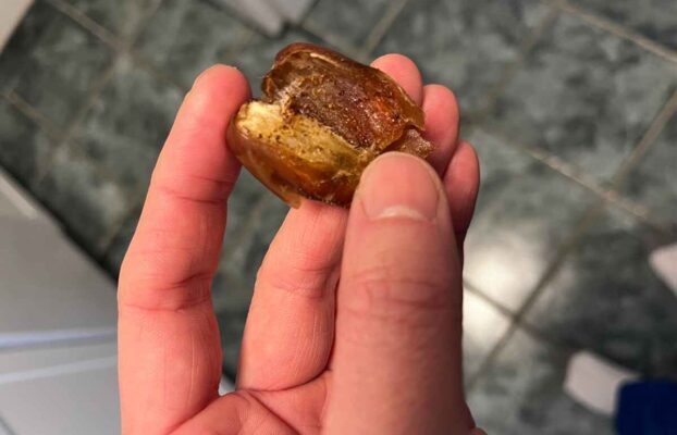 Dates with insects: How to recognize affected fruit؟