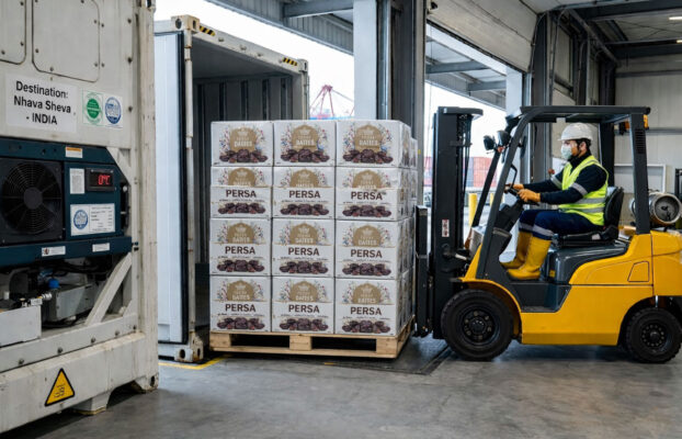 Eliminate Spoilage: The Ultimate Guide to Mazafati Date Cold Chain Logistics