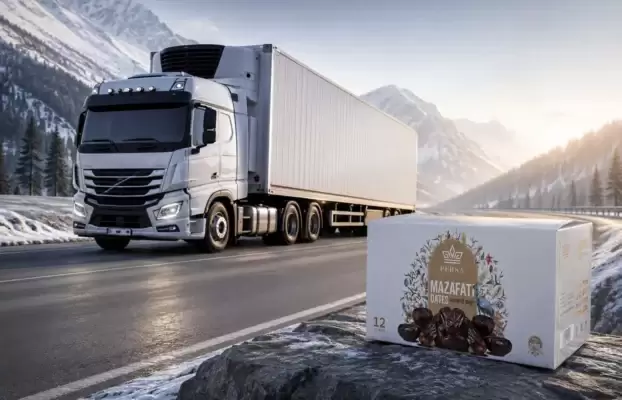 Iranian Dates Export Logistics to Russia & EAEU Markets