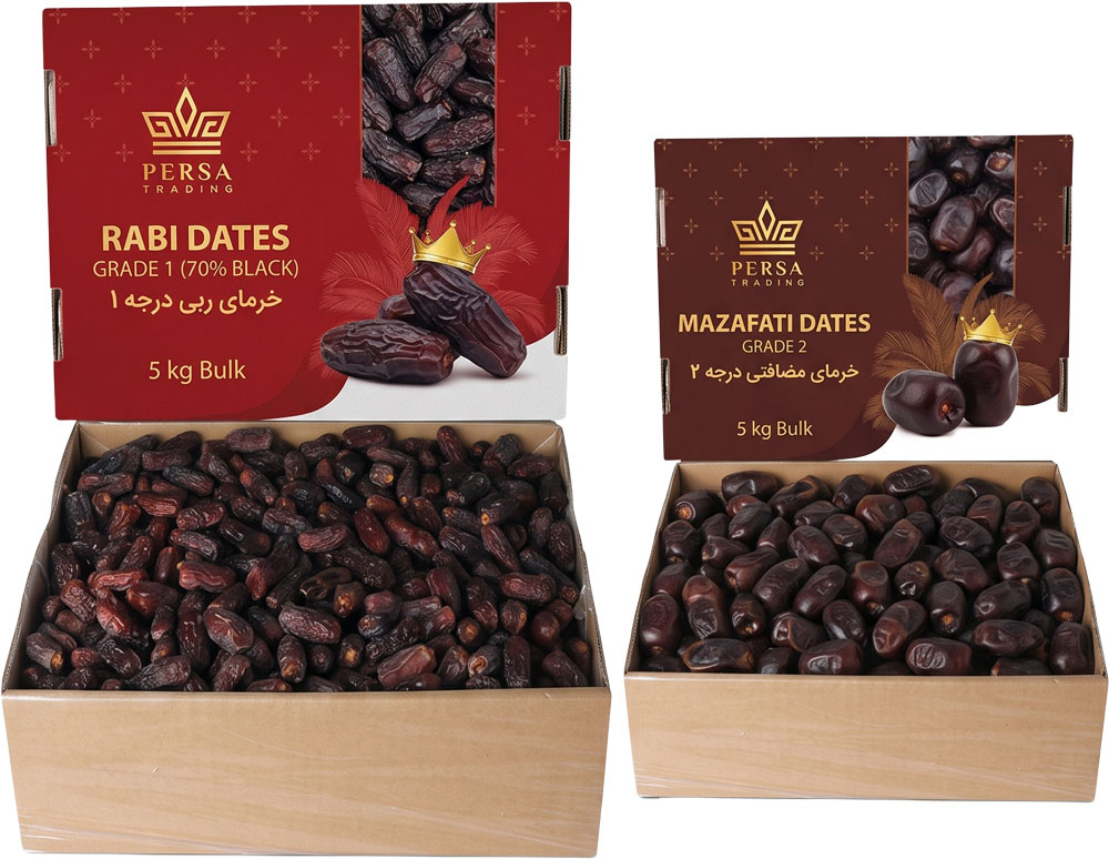 fresh Rutab Mazafati Grade 1 and 5kg bulk Rabbi Grade 1 dates prepared for CIP Farap export to Uzbekistan.